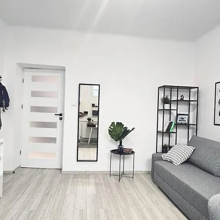 Homestay Apartament Elektoralna *