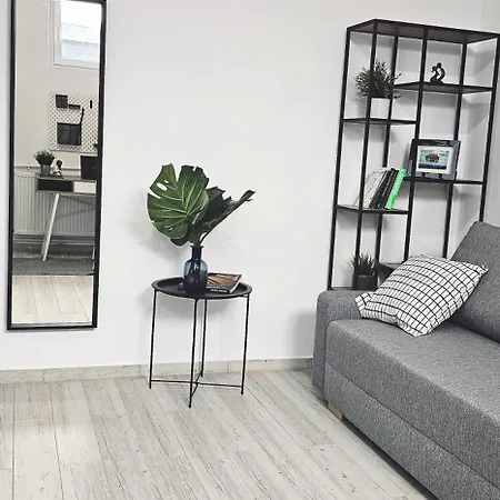Homestay Apartament Elektoralna